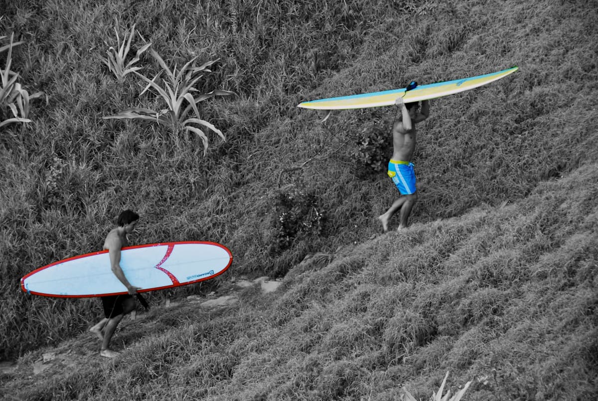 two surfers carrying their surfboards up a hilly slope after a surf